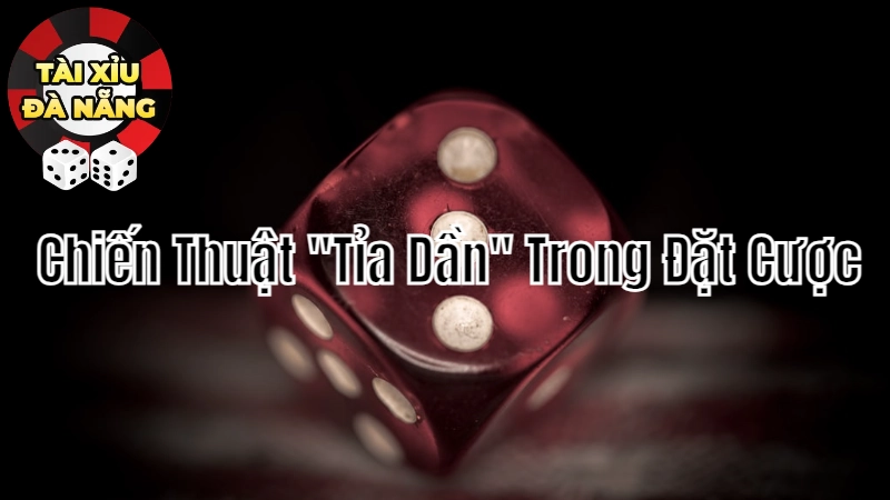 Chiến Thuật “Tỉa Dần” Trong Đặt Cược Tài Xỉu: Khi Nào Nên Sử Dụng?
