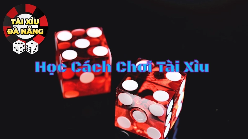 Học Cách Chơi Tài Xỉu Đà Nẵng Từ Những Người Chơi "Thành Công"